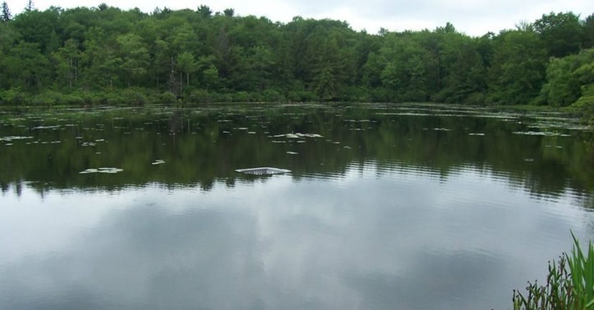 Eaglesmere_2019.jpg
